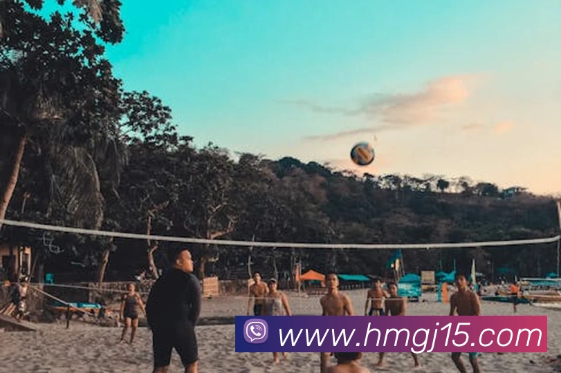 豪门国际服务体系